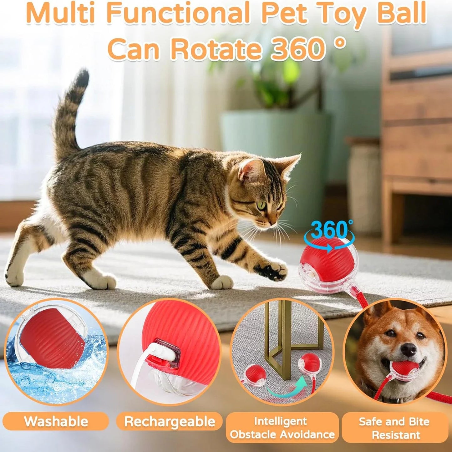 Packs and Paws™ Cat and Dog Interactive automatic Rolling Ball